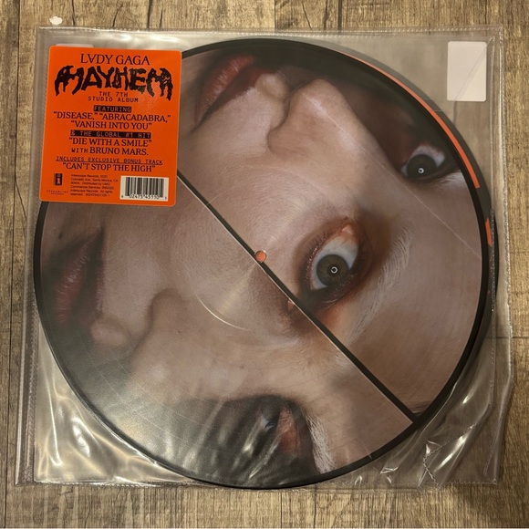Lady Gaga Vinyl Picture Disc - Picture 1 of 6